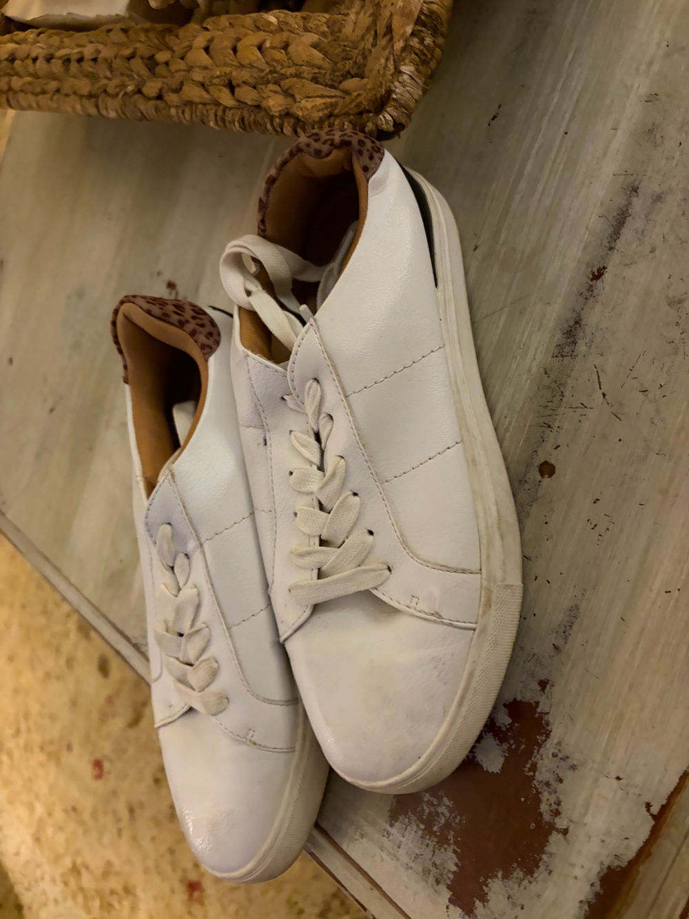 Dolce Vita vegan leather sneakers cheetah print traditional comfy